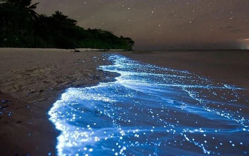 A Tropical Escape to the Lakshadweep Paradise 