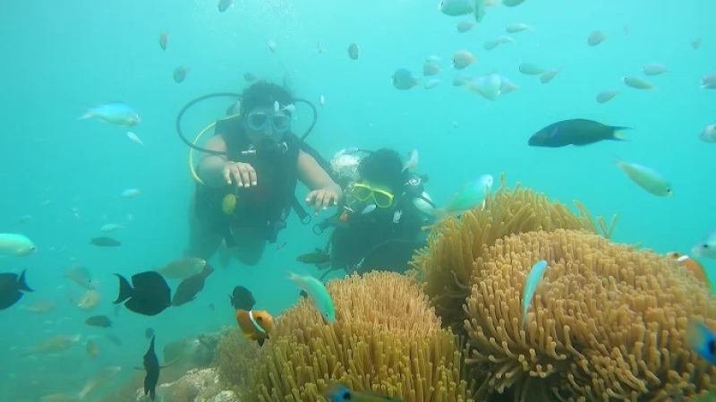 A Tropical Escape to the Lakshadweep Paradise 