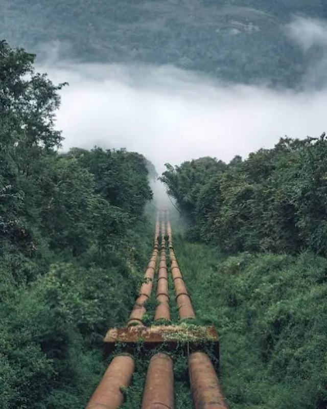 Hills & Wildlife of Kerala