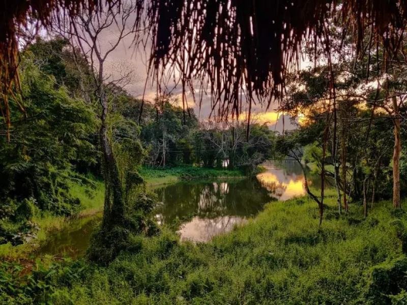 SOUTH INDIA HILL & HERITAGE ESCAPE