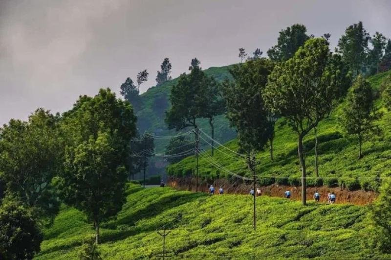 SOUTH INDIA HILL & HERITAGE ESCAPE
