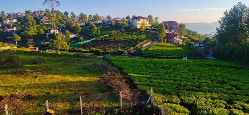 SOUTH INDIA HILL & HERITAGE ESCAPE
