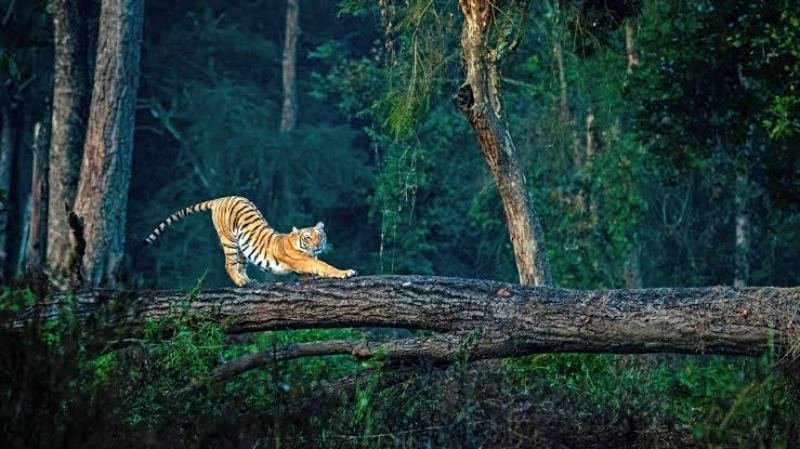Uttarakhand Delight 